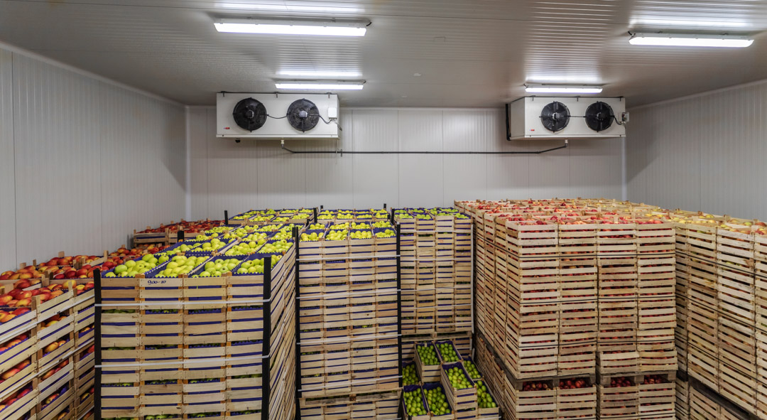 Kühlraum voller Obst und Gemüse mit perfekter Kältetechnik für die Landwirtschaft