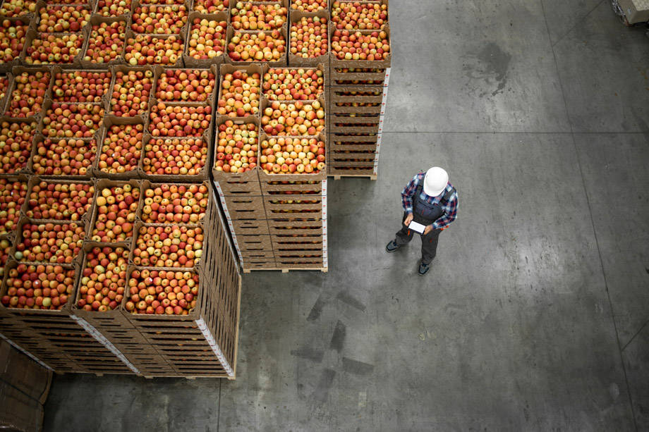 Draufsicht auf einen Arbeiter, der in einem Lagerhaus einer Bio-Lebensmittelfabrik vor Apfelkisten steht, die dank einer optimalen Kältetechnik für die Landwirtschaft frisch bleiben.