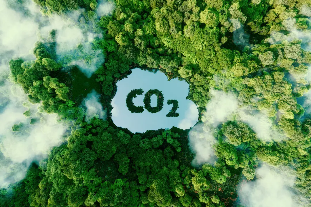 Draufsicht auf einen Wald und See, repräsentativ für eine optimale Kältetechnik für die Landwirtschaft