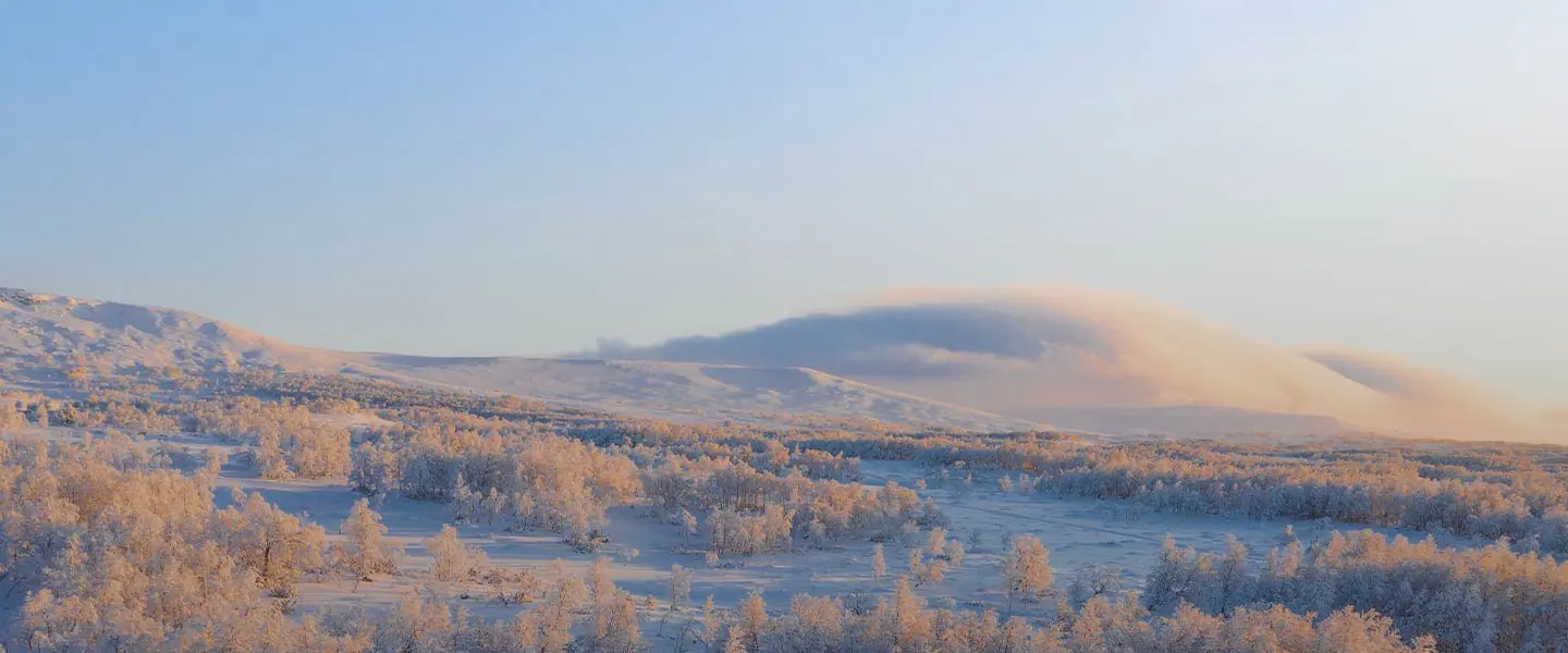 Winterlandschaft repräsentativ für Kälte- und Klima Technik