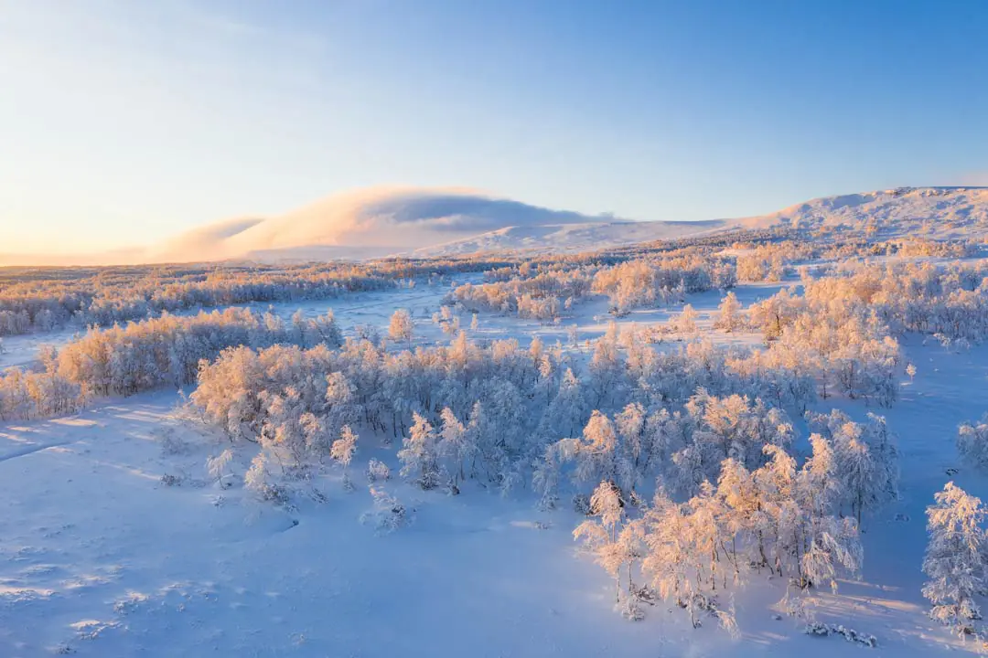 Eine mit Schnee bedeckte Winterlandschaft repräsentativ für eine optimale Kälte- und Klimatechnik